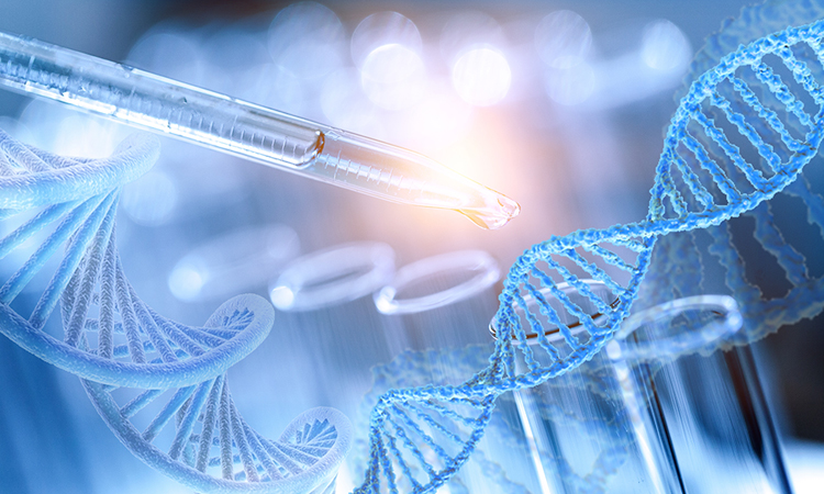 Genetic diagnosis and personalized medicine
